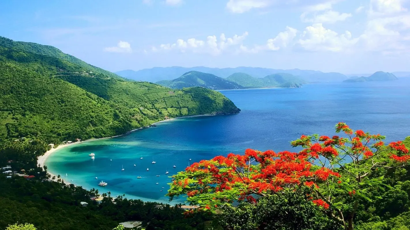 节能绿色绿色